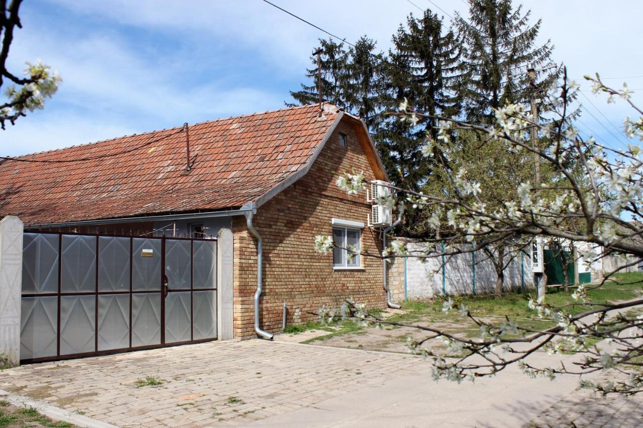 Julia Apartman Pacir Exterior foto